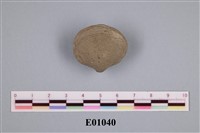 藏品(石燕及其他腕足動物)的圖片